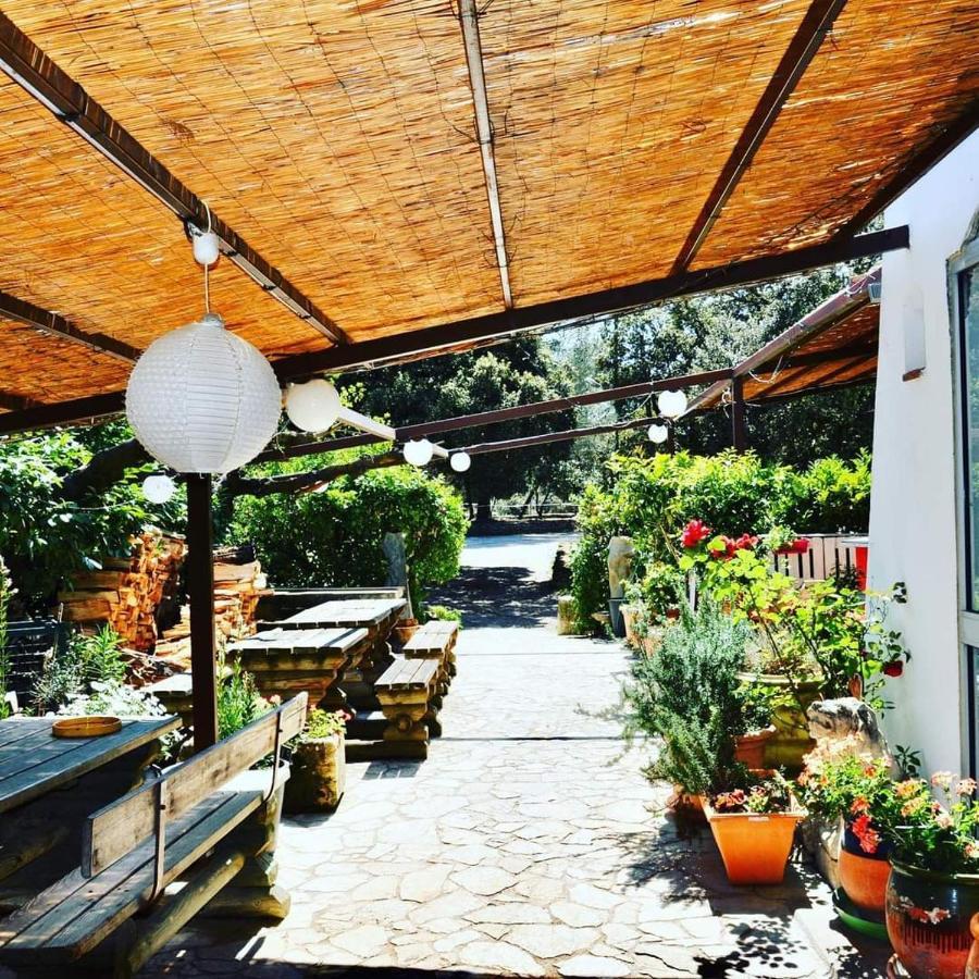 Hotel Domaine Du Berange Saint-Geniès-des-Mourgues Zewnętrze zdjęcie